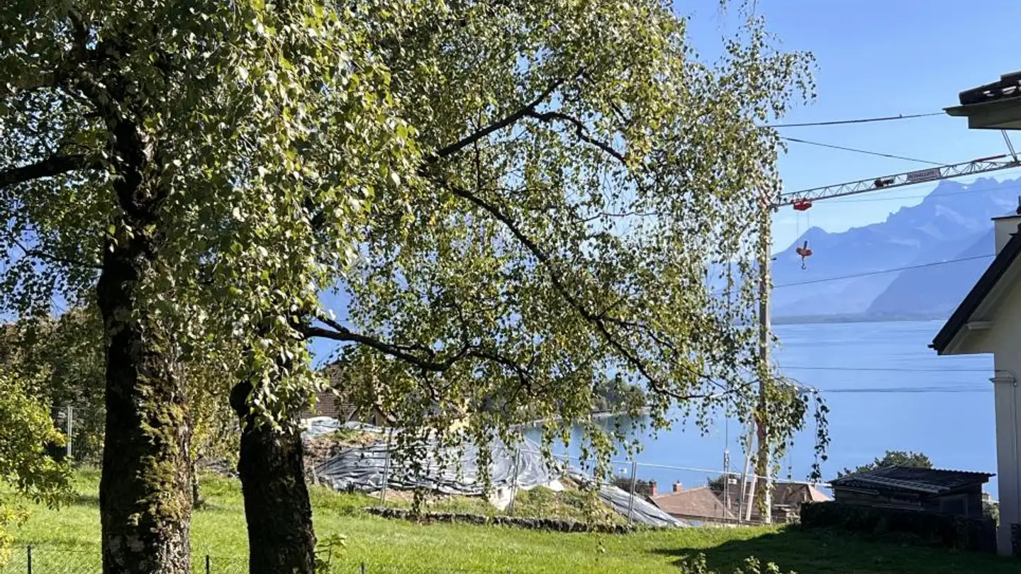 Duplex à vendre - 1802 Corseaux