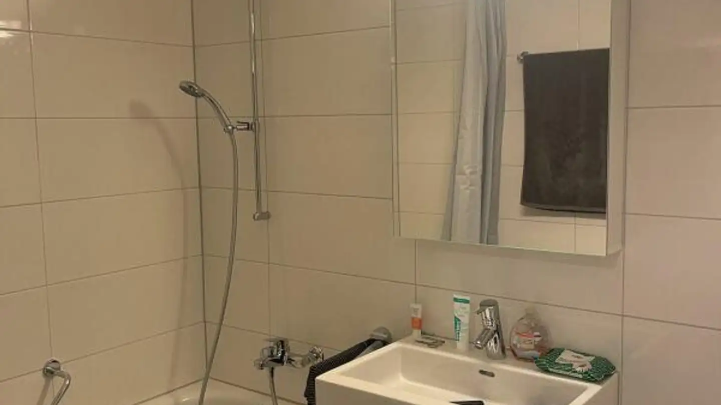 Appartamento in affitto - Steinmürlistrasse 36, 8953 Dietikon - Foto 4