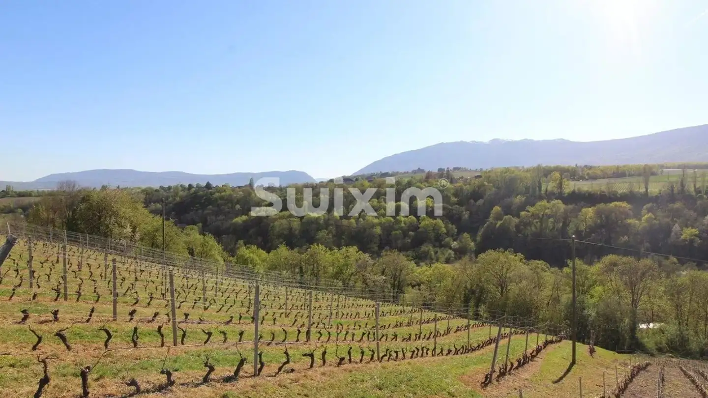 Mixed-use building for sale - 1283 Dardagny