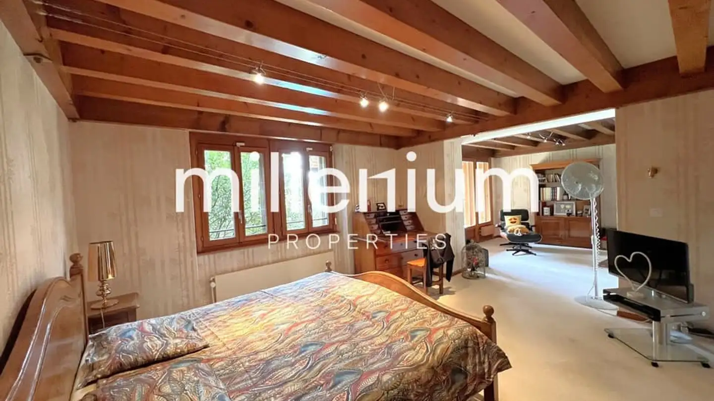 Einfamilienhaus kaufen - Route De Meyrin, 1217 Meyrin - Foto 3