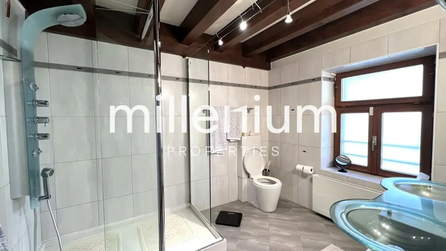 Einfamilienhaus kaufen - Route De Meyrin, 1217 Meyrin - Foto 4