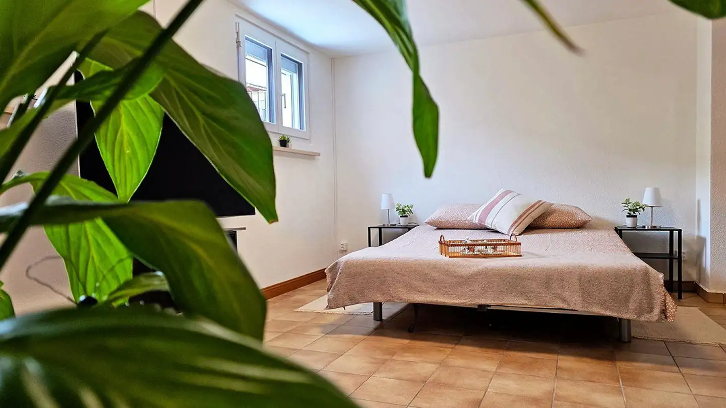 Appartement à louer - Via Trisnera 42, 6616 Losone