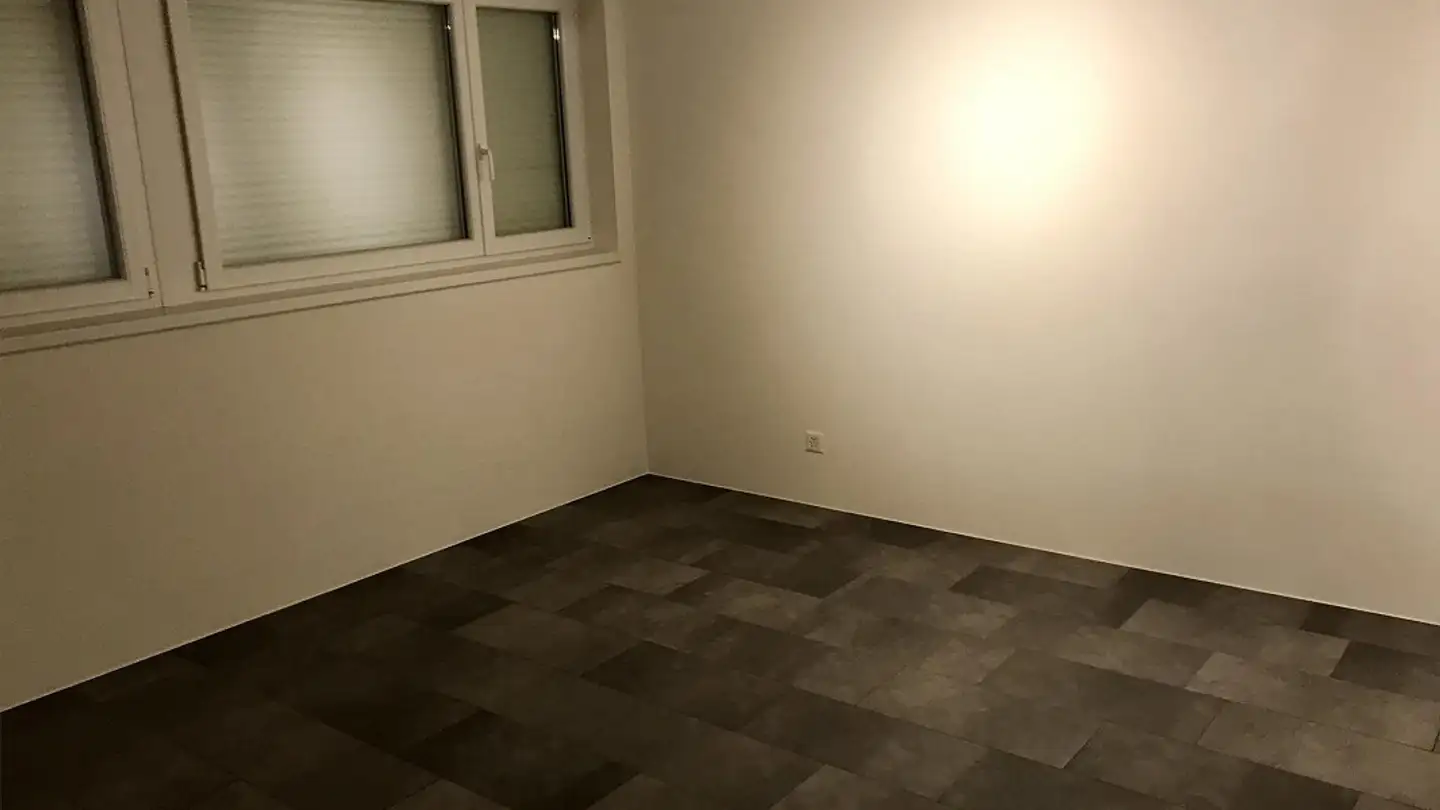 Appartamento in affitto - Wiesenstrasse 11a, 8400 Winterthur - Foto 2