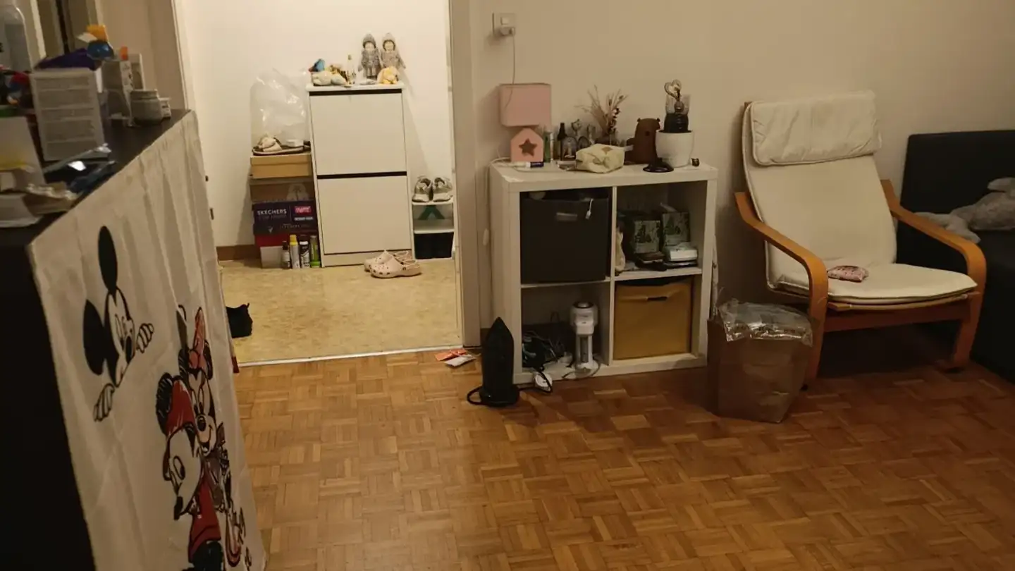 Appartamento in affitto - Chemin De La Vulliette 5, 1000 Lausanne 25