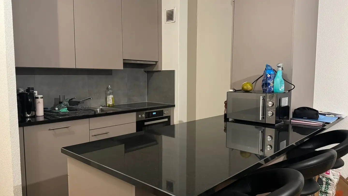 Wohnung mieten - Chemin De Beau-Val 8, 1012 Lausanne - Foto 4