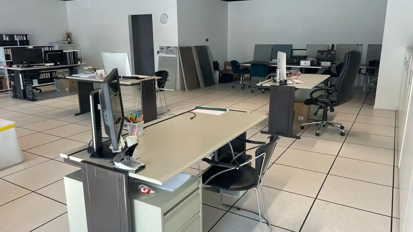 Mixed-use building for rent - Via Del Carmagnola 12, 6517 Arbedo - Photo 3