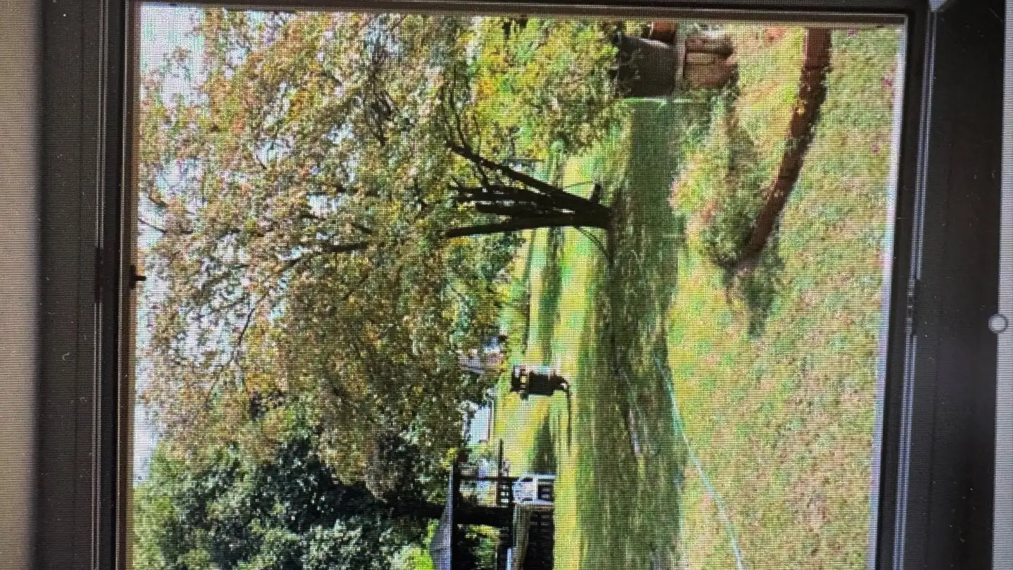 Appartement à louer - Via Ai Molini, 6933 Muzzano - Photo 2