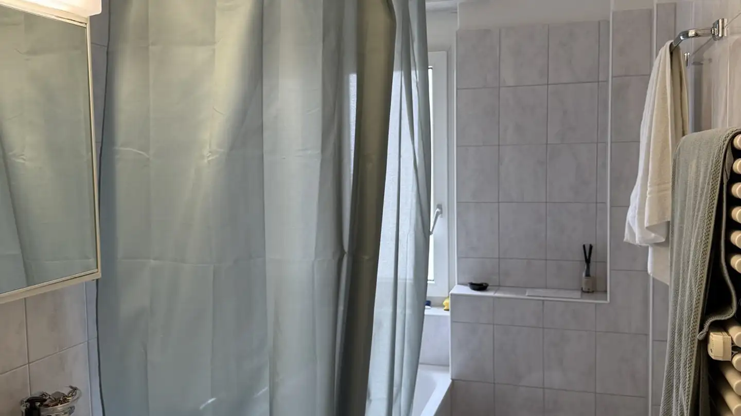 Appartement à louer - Kalkbreitestrasse 71, 8003 Zürich - Photo 4