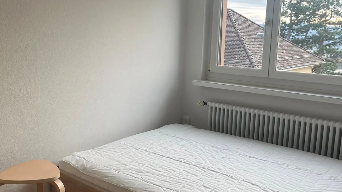 Single room for rent - Culmannstrasse 65, 8006 Zürich - Photo 2