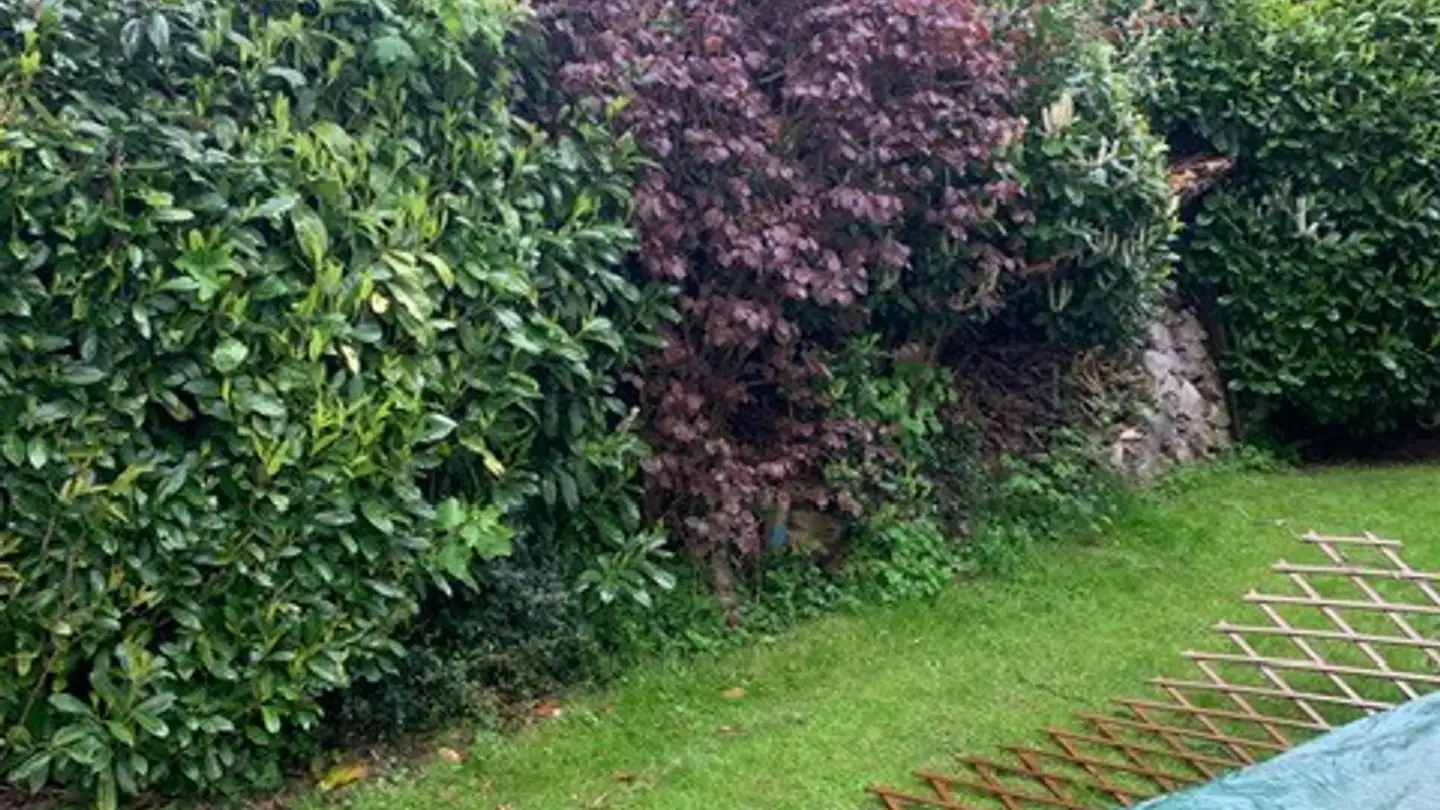 Single room for rent - Chemin De La Louye 10, 1042 Assens - Photo 2