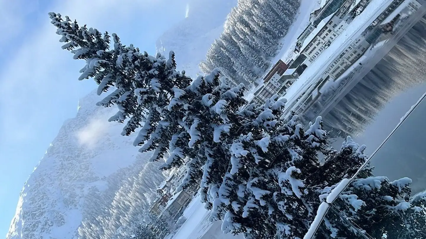 Appartement à vendre - Oberseepromenade 10, 7050 Arosa - Photo 2