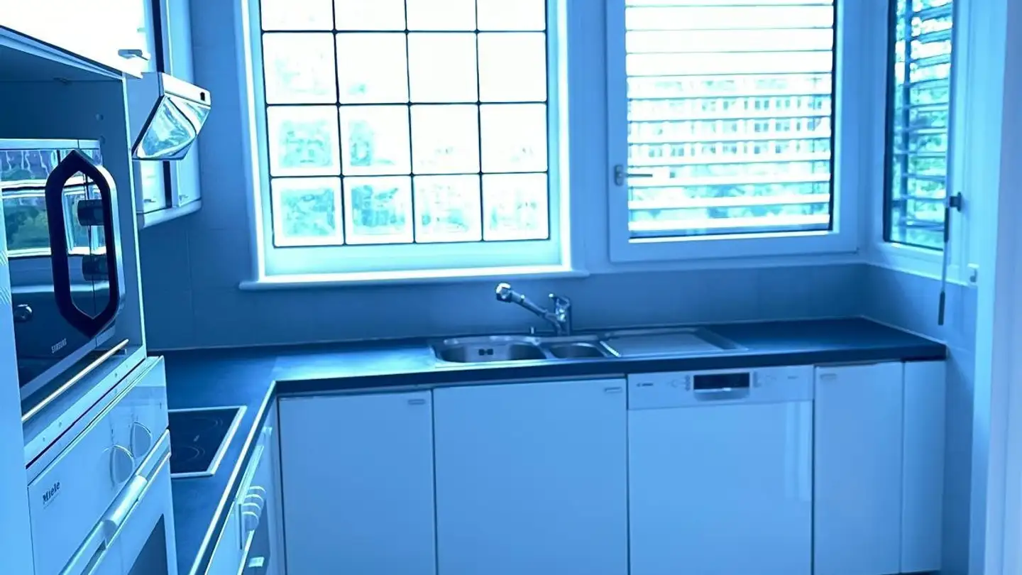 Apartment for rent - Chemin Des Colombettes 19, 1202 Genève - Photo 4