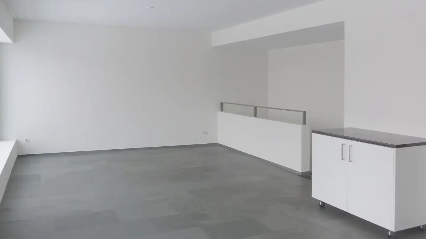 Appartamento in affitto - Grosswiesenstrasse 165, 8051 Zürich - Foto 3
