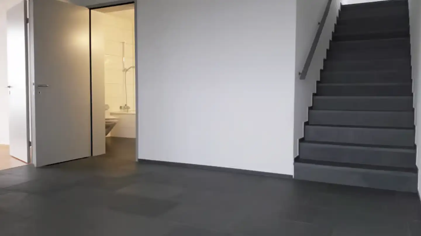 Appartamento in affitto - Grosswiesenstrasse 165, 8051 Zürich - Foto 4