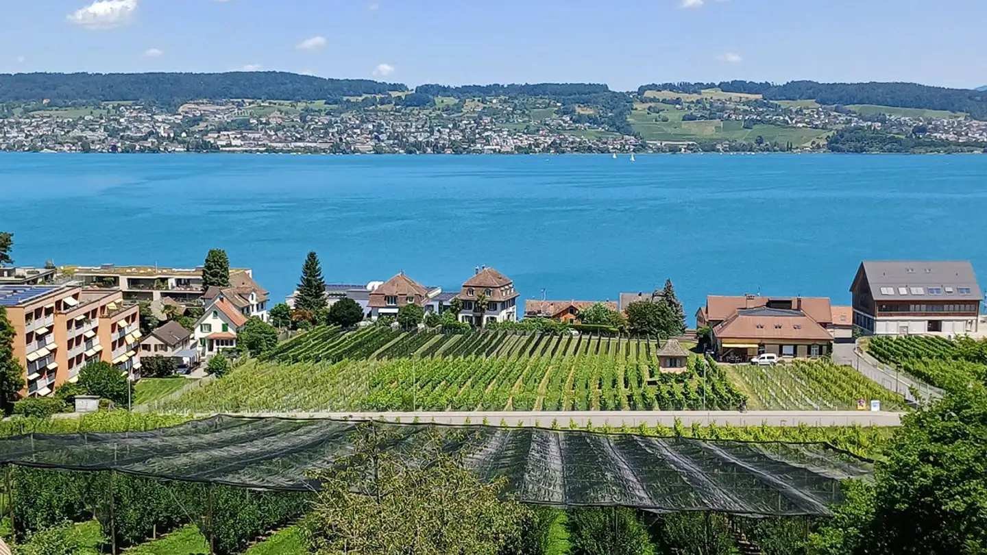 Appartement à louer - Schlossbergstrasse 51, 8820 Wädenswil