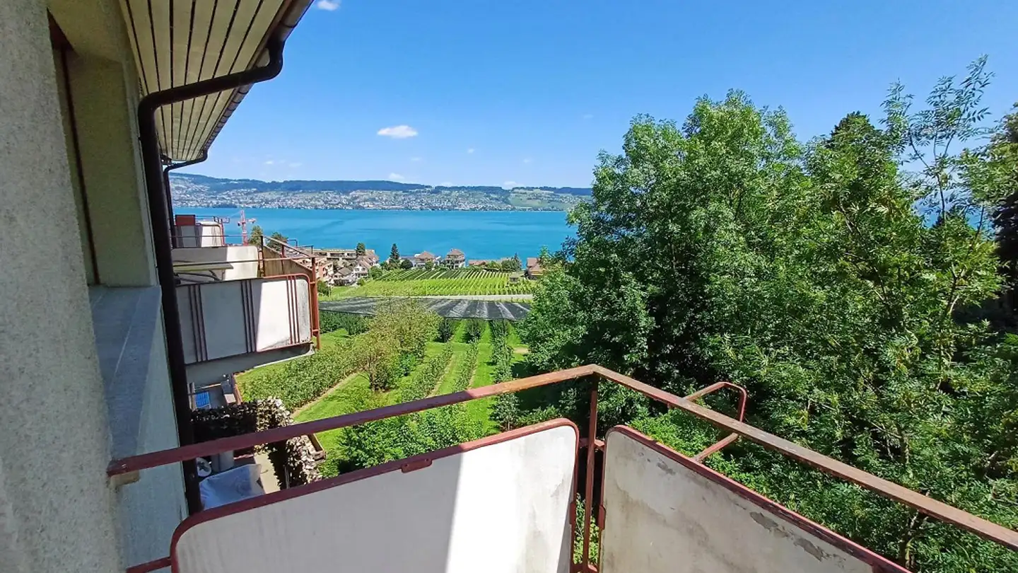 Appartement à louer - Schlossbergstrasse 51, 8820 Wädenswil - Photo 4