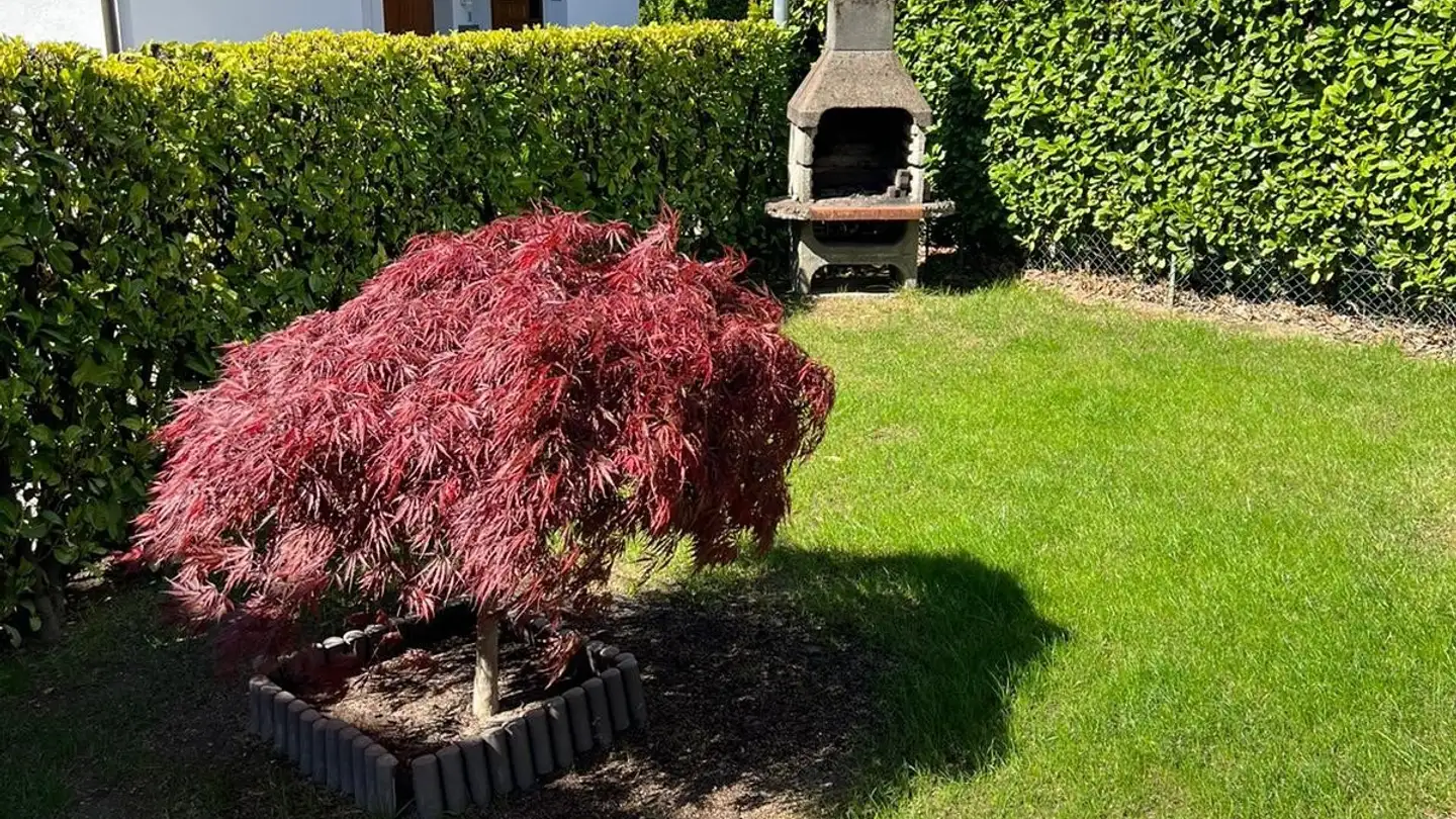 Einfamilienhaus kaufen - Via Pascuritt 20, 6834 Morbio Inferiore