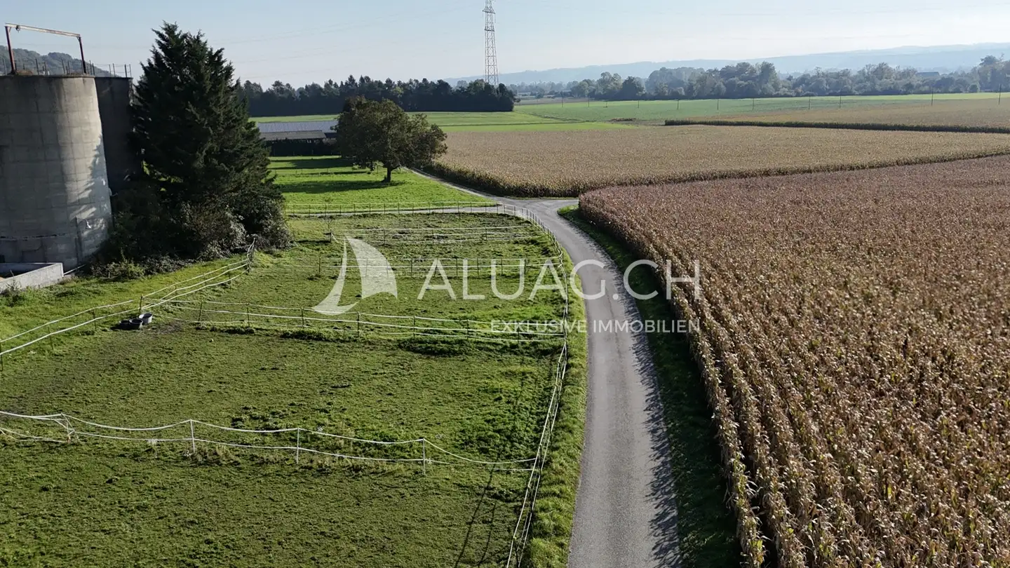 Fattoria in vendita - 2553 Safnern - Photo 3