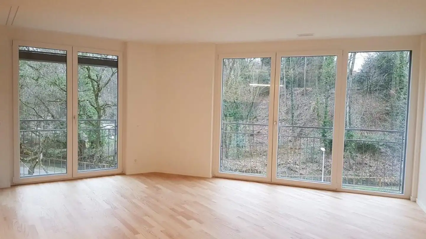 Appartement à louer - Baldeggerstrasse 58, 4052 Basel - Photo 4
