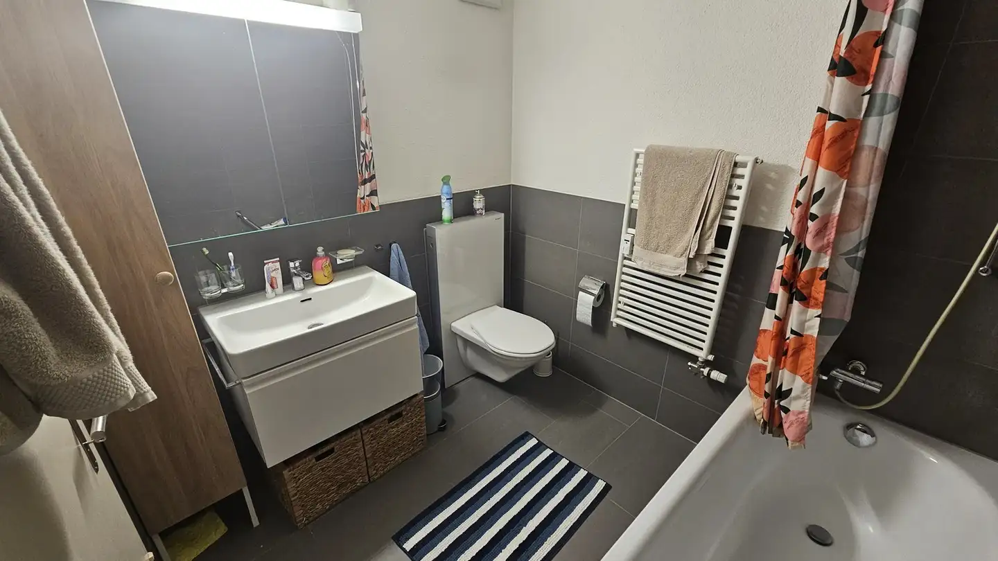 Single room for rent - Risistrasse, 8903 Birmensdorf ZH - Photo 4