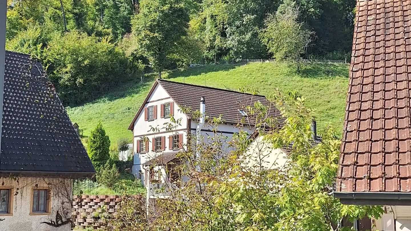Wohnung kaufen - Hinterdorfstrasse 1, 5074 Eiken