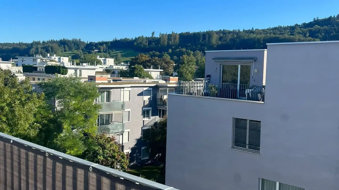 Duplex in affitto - Roosstrasse, 8105 Regensdorf - Foto 2