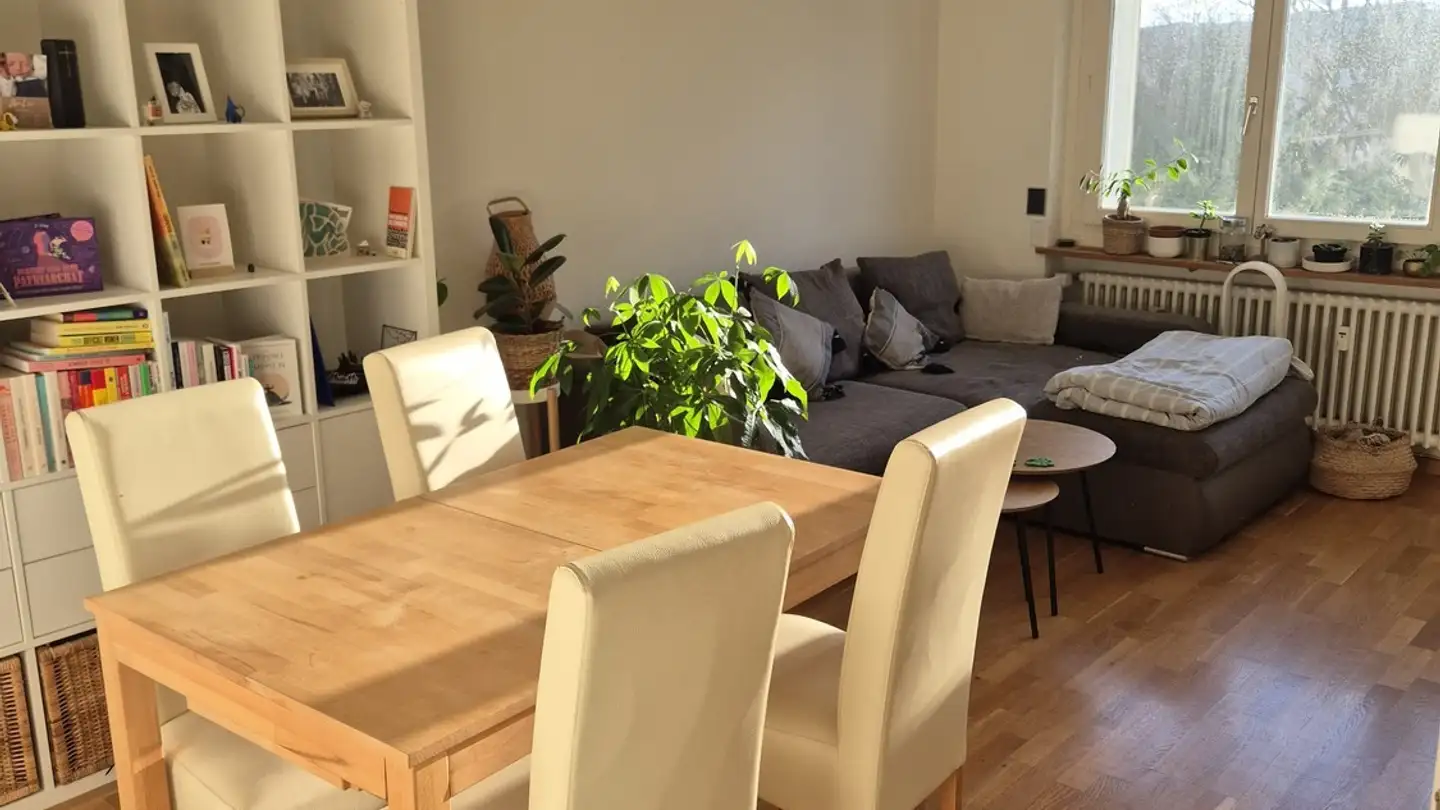 Appartamento in affitto - Lindstrasse 36, 8400 Winterthur