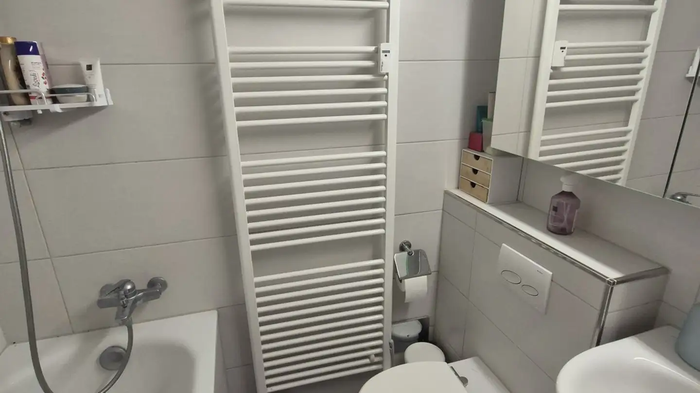 Appartamento in affitto - Lindstrasse 36, 8400 Winterthur - Foto 3