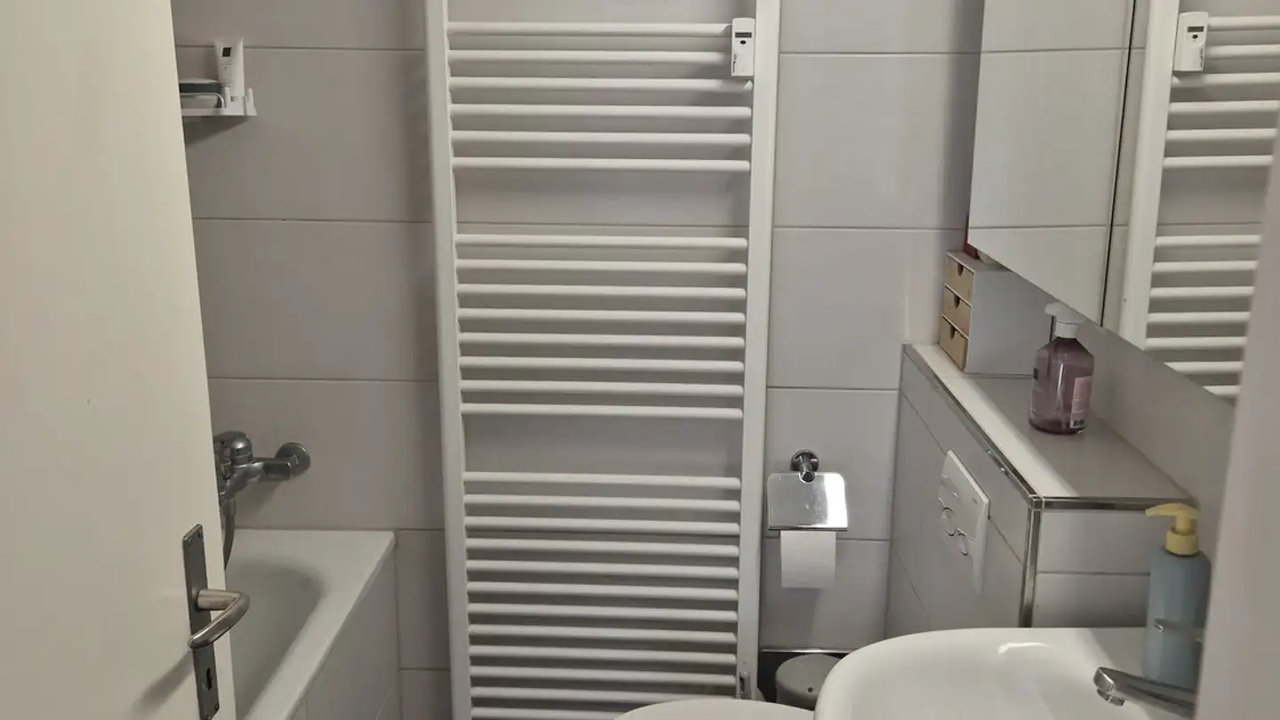 Appartamento in affitto - Lindstrasse 36, 8400 Winterthur - Foto 4