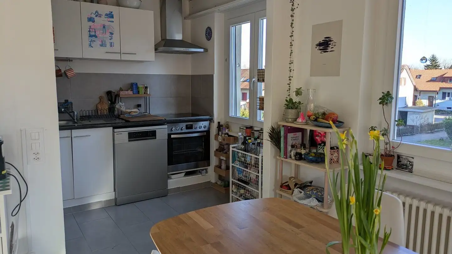 Appartamento in affitto - Aarmattweg, 5000 Aarau