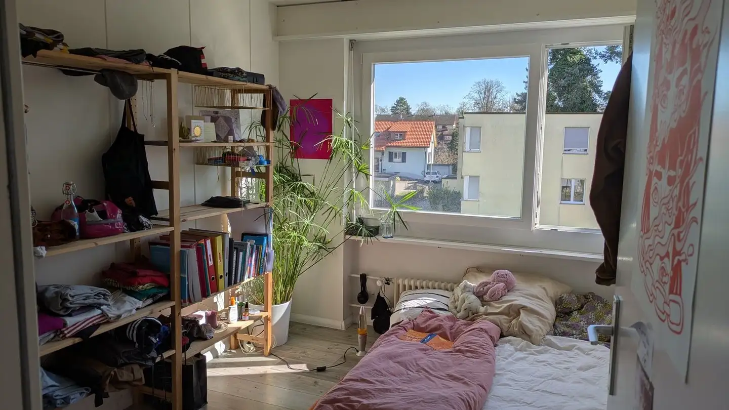 Appartamento in affitto - Aarmattweg, 5000 Aarau - Foto 2