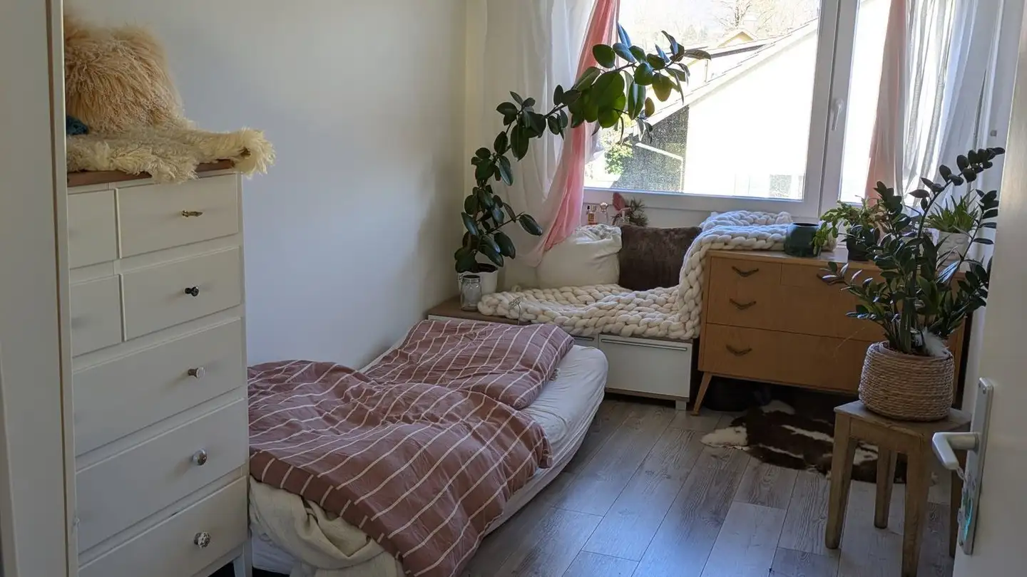 Appartamento in affitto - Aarmattweg, 5000 Aarau - Foto 3