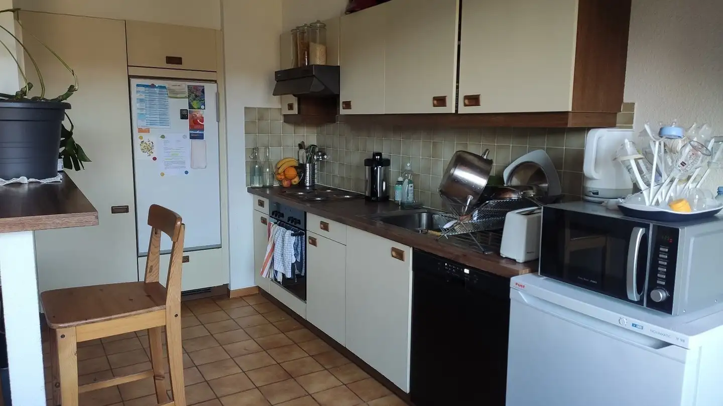 Appartamento in affitto - Rue De Malagny, 1196 Gland - Photo 3