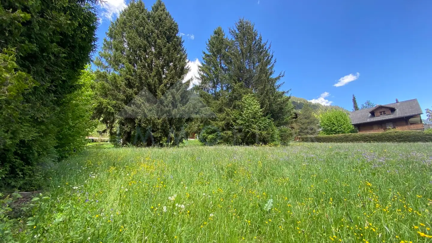 Terreno edificabile in vendita - Rue Du Village, 1659 Rougemont - Photo 3