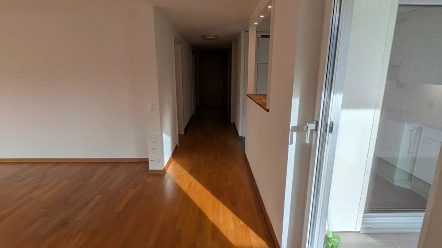 Appartamento in affitto - Buchholzstrasse 55, 8750 Glarus - Foto 3