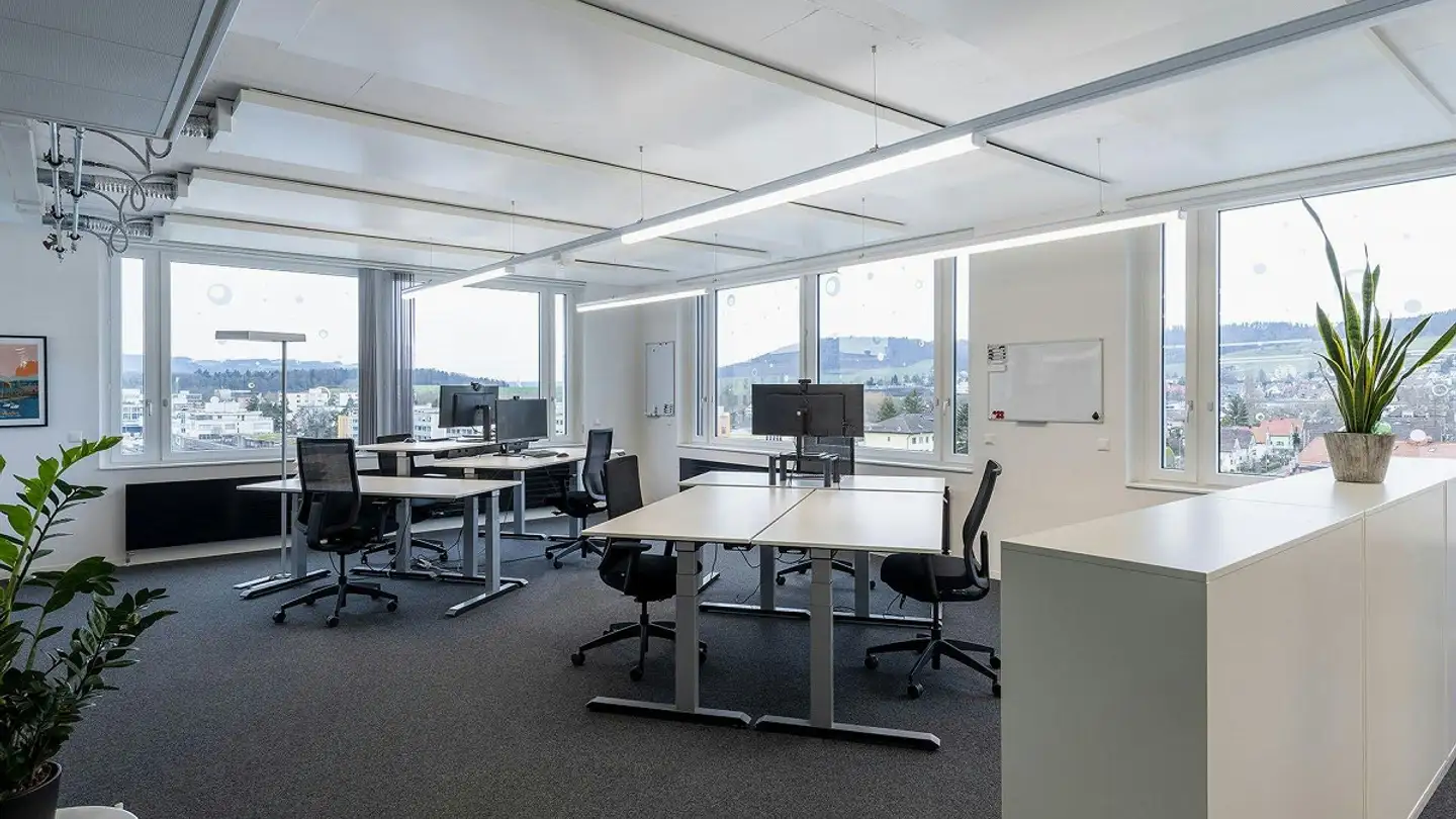 Commercial à louer - Bern-Strasse 39, 8952 Schlieren