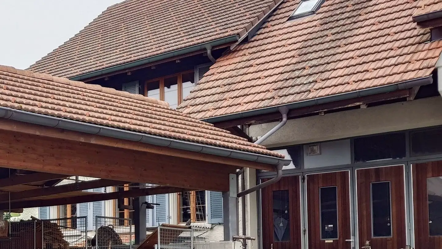 Ferme à louer - Hauptstrasse 24, 5105 Auenstein