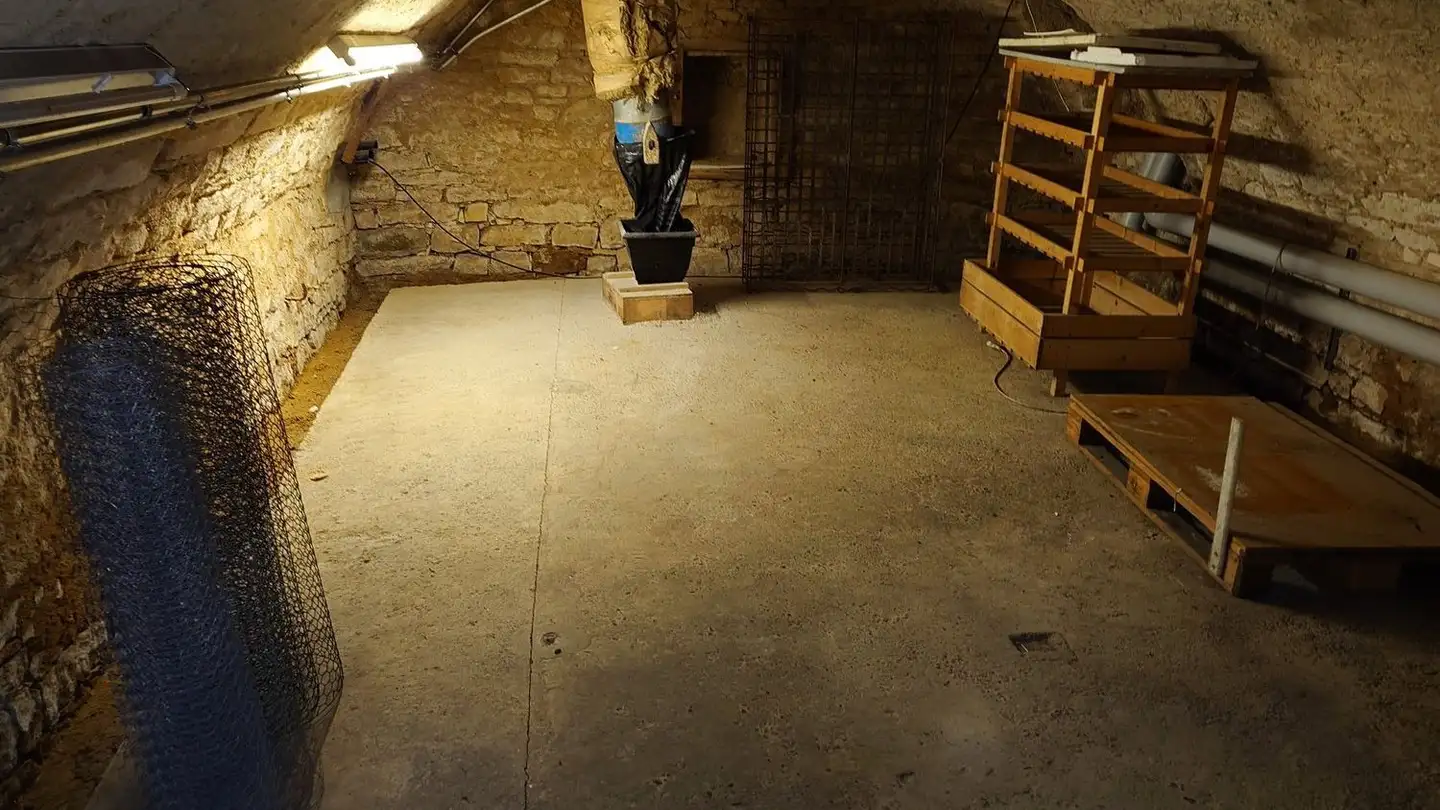 Ferme à louer - Hauptstrasse 24, 5105 Auenstein - Photo 3