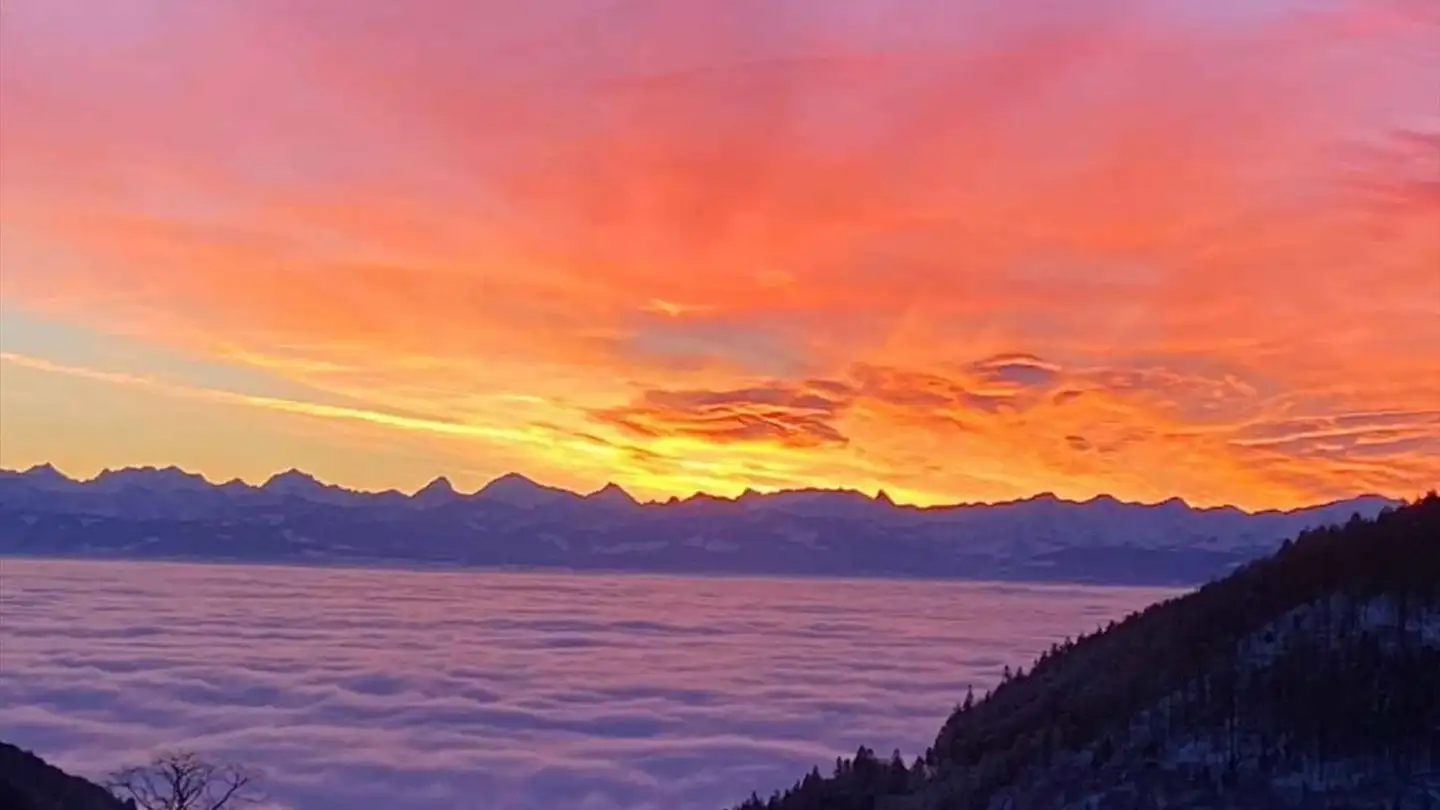 Apartment for sale - 1450 Ste-Croix