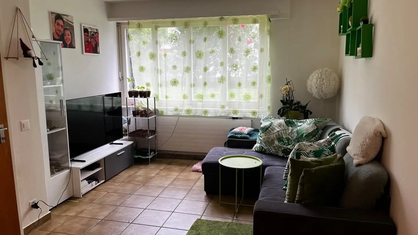 Appartement à louer - 6616 Losone - Photo 3