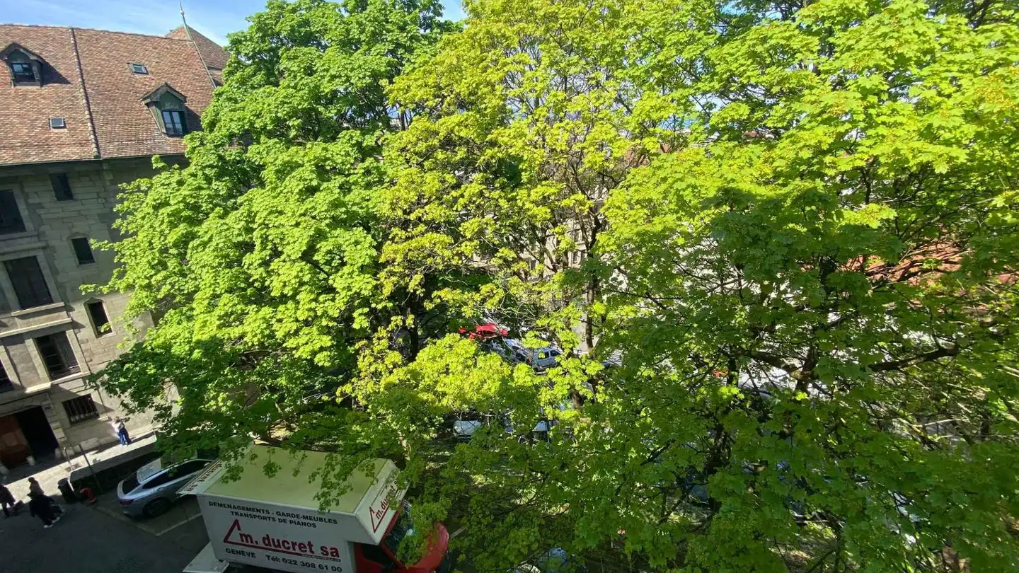 Apartment for rent - Rue Jean- Calvin 4, 1204 Genève - Photo 2