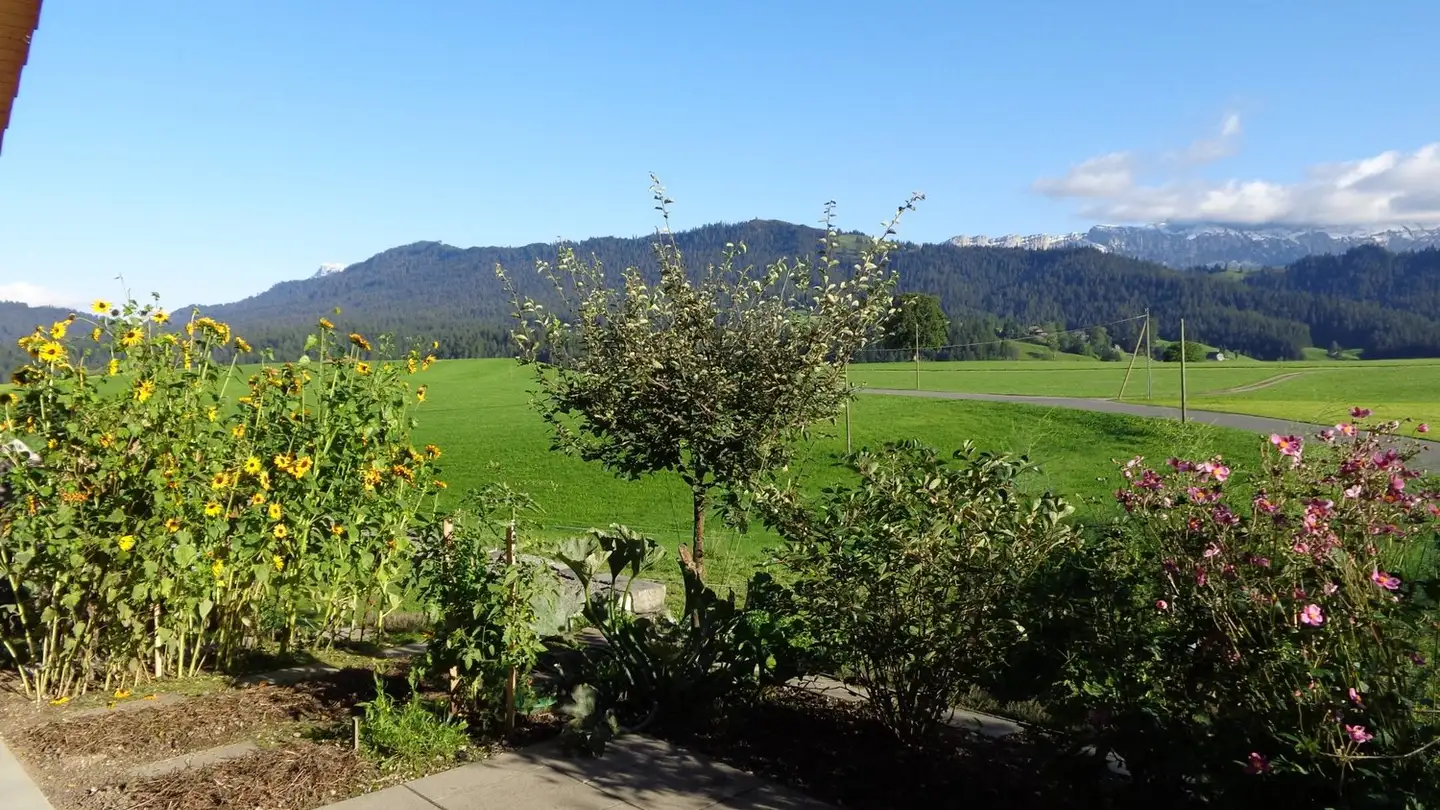 Wohnung mieten - Schnabel 28i, 3618 Süderen