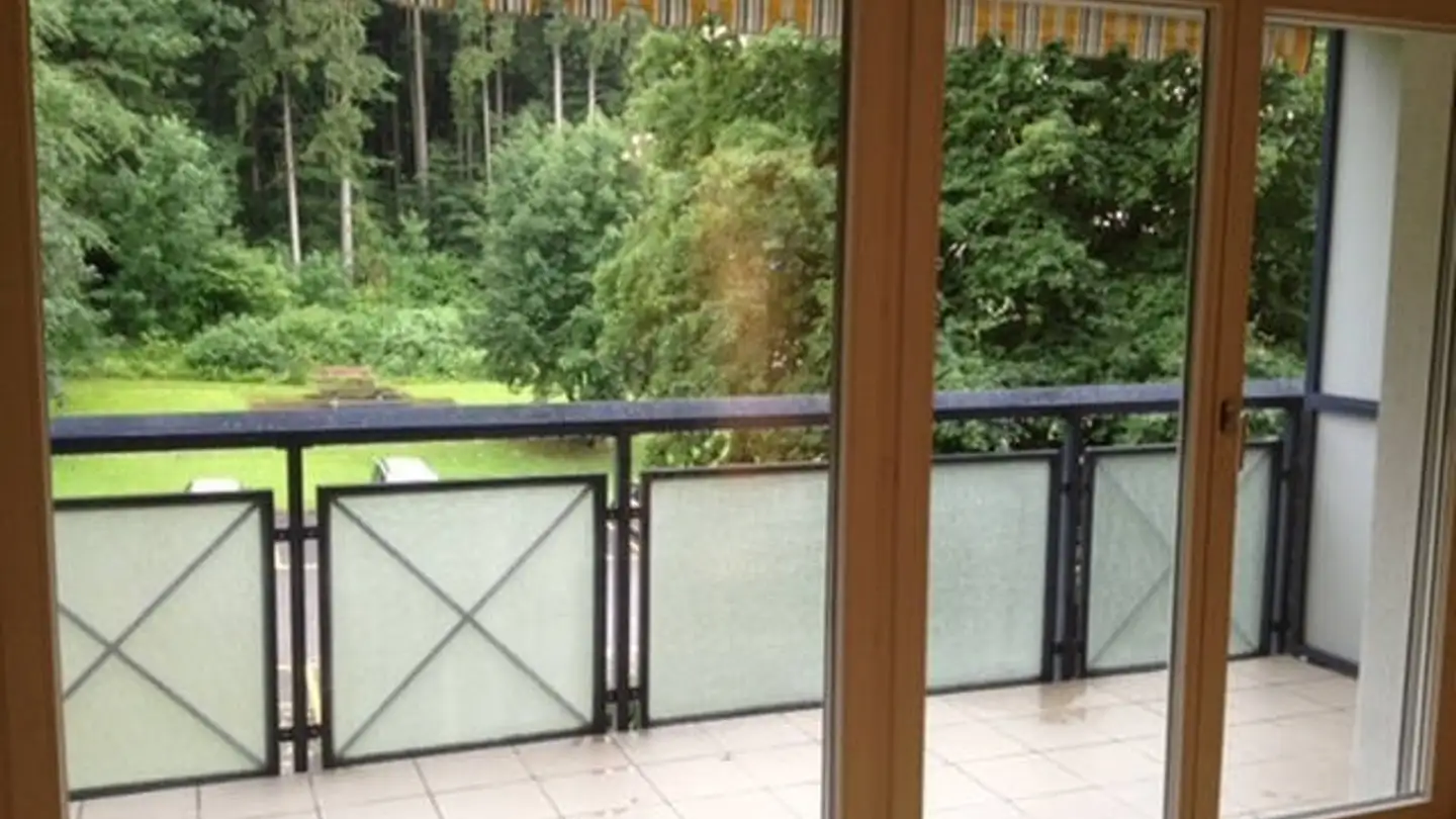 Appartamento in affitto - 8125 Zollikerberg - Photo 2