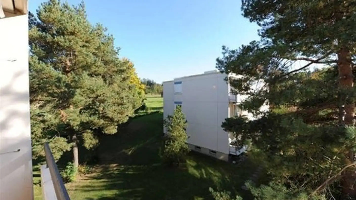 Appartamento in affitto - 8125 Zollikerberg - Photo 4