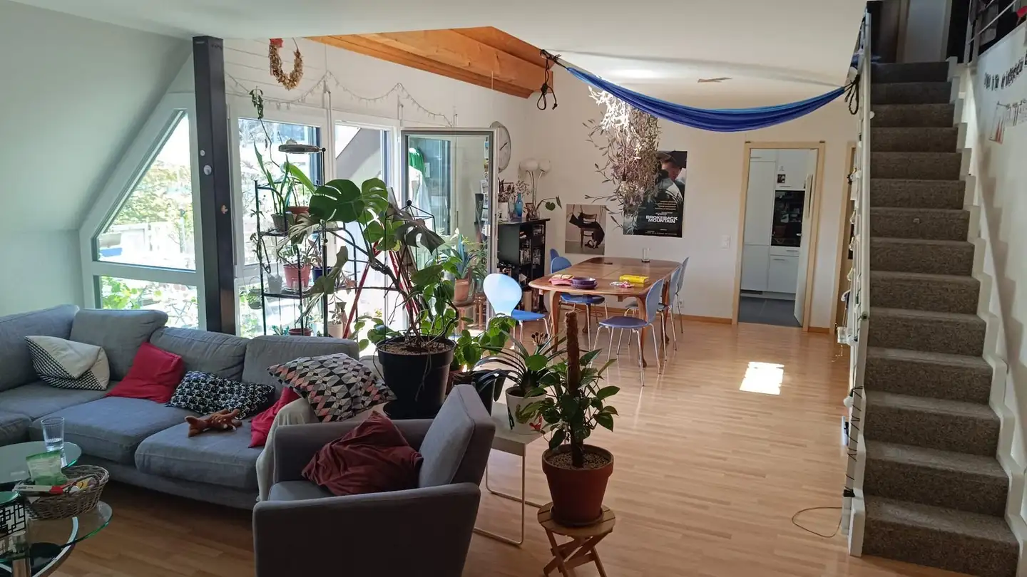 Stanza singola in affitto - 3018 Bern