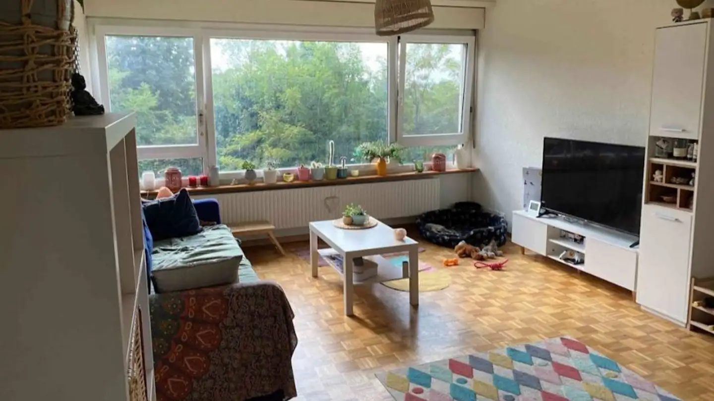 Appartamento in affitto - Chemin De La Marnière 67, 2068 Hauterive NE