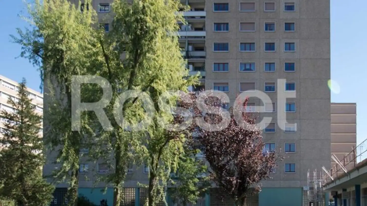 Wohnung mieten - Rue Du Vieux-Moulin 10, 1213 Onex