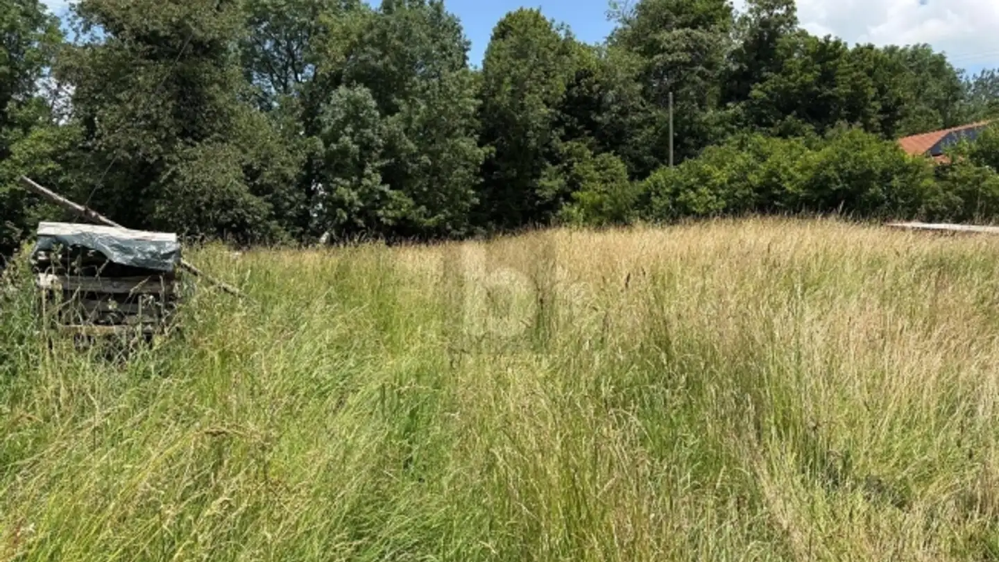 Terreno edificabile in vendita - 1464 Chavannes-le-Chêne - Photo 2