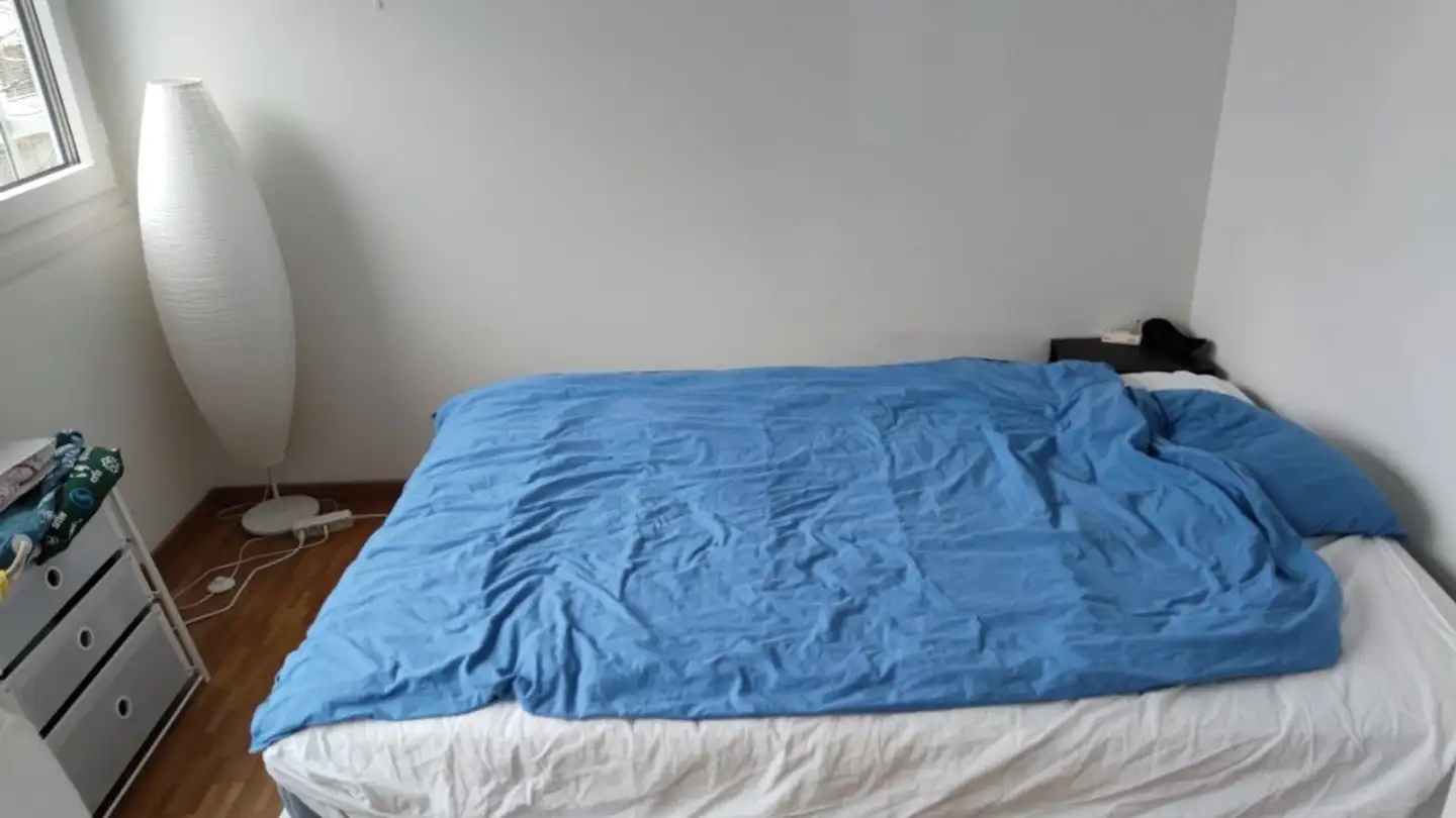 Single room for rent - Margrit-Rainer-Strasse 11c, 8050 Zürich - Photo 2