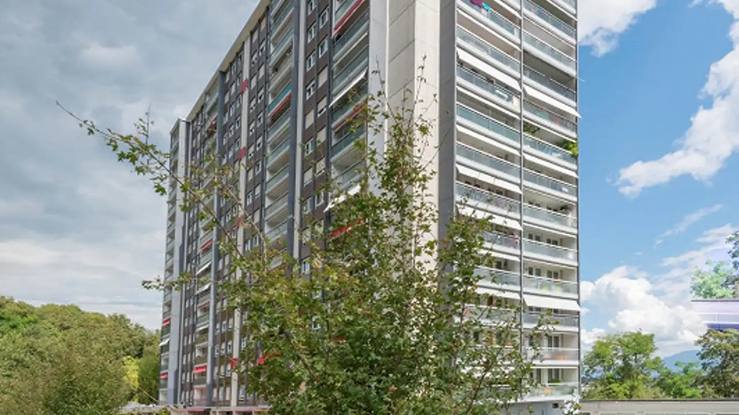 Commerciale in affitto - Chemin Du Fief-De-Chapitre 1, 1213 Petit-Lancy